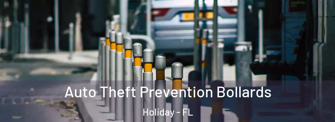  Auto Theft Prevention Bollards Holiday - FL