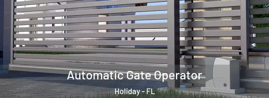 Automatic Gate Operator Holiday - FL