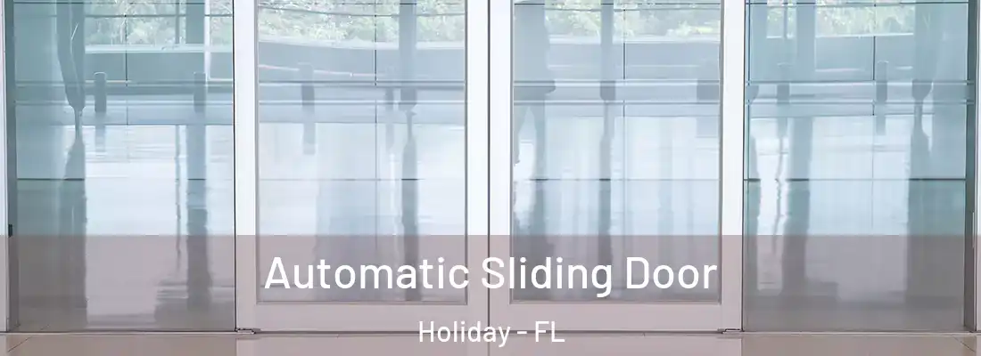 Automatic Sliding Door Holiday - FL