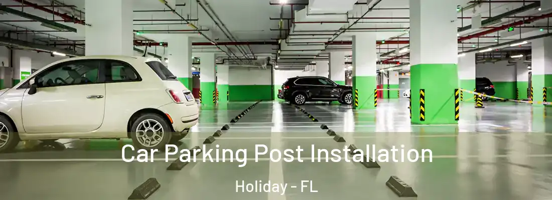 Car Parking Post Installation Holiday - FL