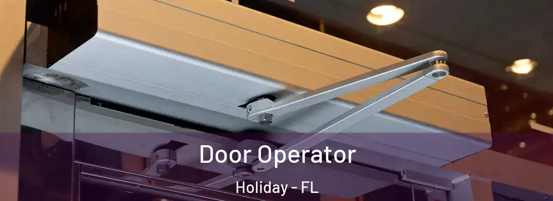 Door Operator Holiday - FL
