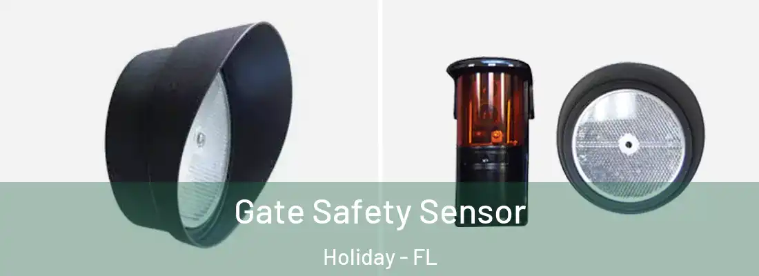 Gate Safety Sensor Holiday - FL