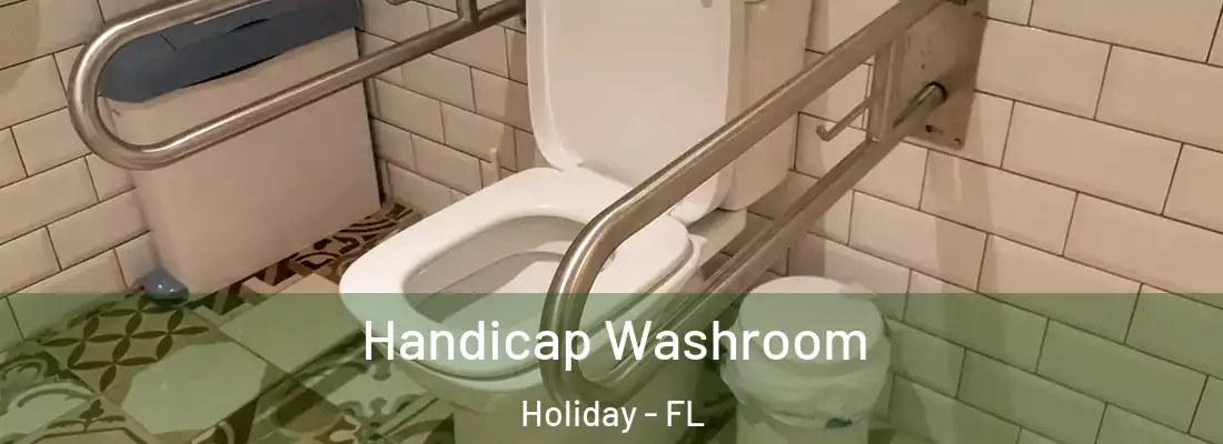 Handicap Washroom Holiday - FL
