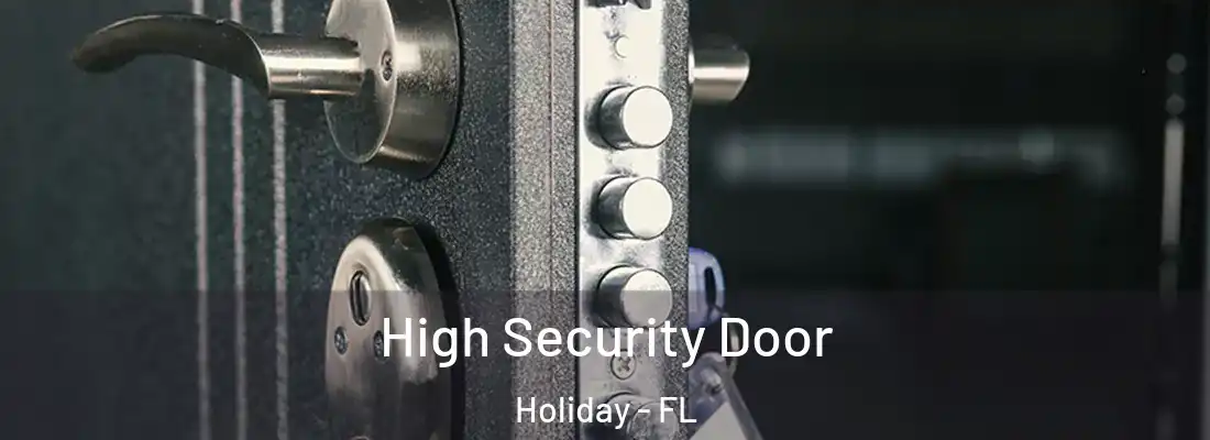  High Security Door Holiday - FL