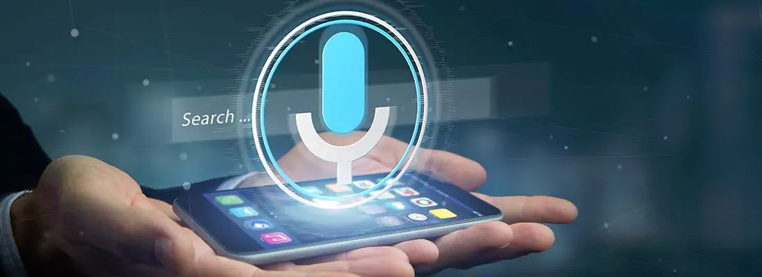 Enhance Security with Voice Recognition Access Systems in Holiday, FL