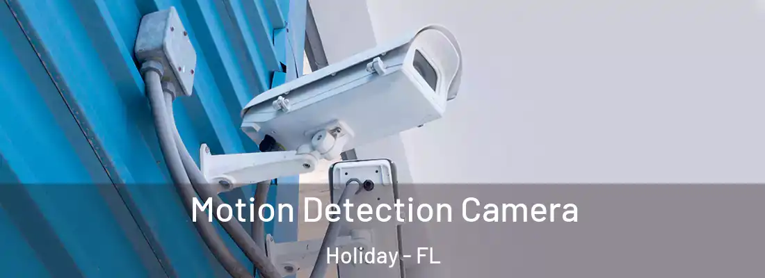 Motion Detection Camera Holiday - FL
