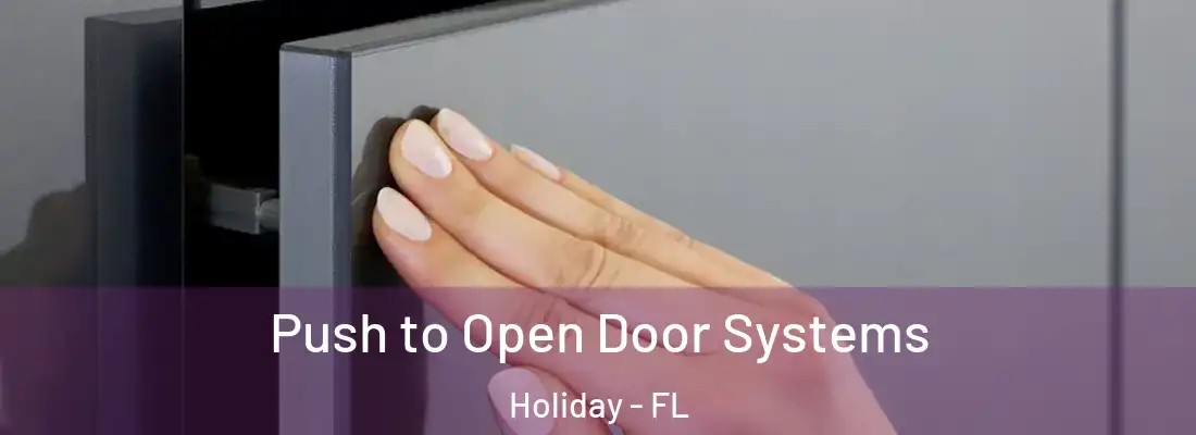 Push to Open Door Systems Holiday - FL