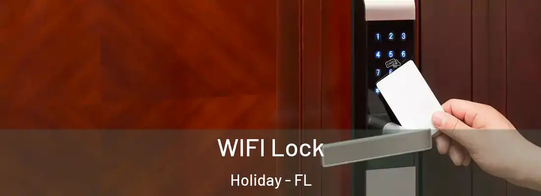WIFI Lock Holiday - FL